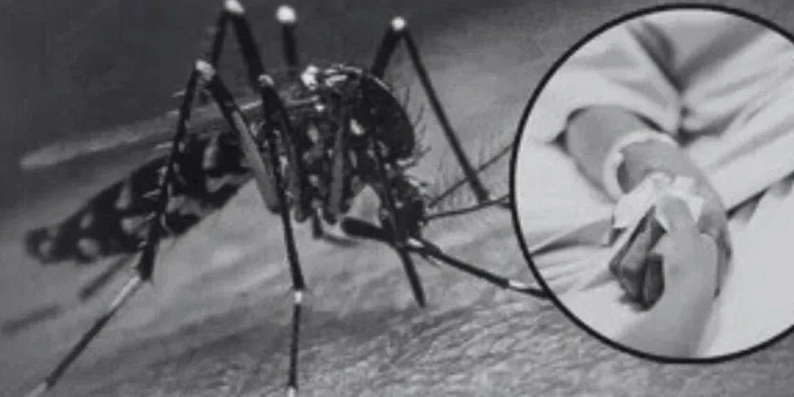 Valerin Sofía Ortíz Delgado