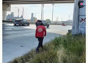 Encuentran a hombre sin vida