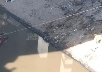 El conductor de un automóvil