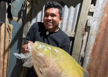 Kevin Smith Pérez Vergara