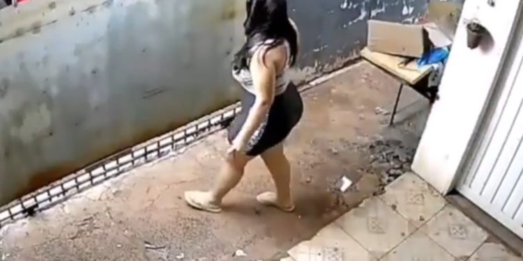 A una cachorrita de 6 meses