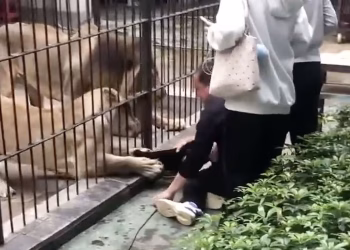 Shantou Zhongshan Park Zoo