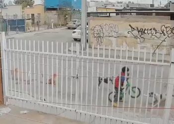 El niño que logró escapar de una jauría en Trujillo