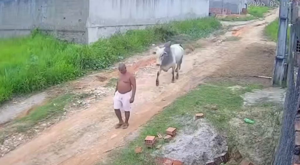 El Hombre y el Toro